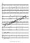 Preview: Cape Breton Island - Canadian Impressions, Rudi Braun, Akkordeon-Orchester, Landschaftsbeschreibung, Kanada, Klangvielfalt, mittelschwer-schwer, Konzertstück, Wertungsstück, Akkordeon Noten, Beispielseite