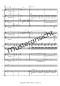 Preview: Cape Breton Island - Canadian Impressions, Rudi Braun, Akkordeon-Orchester, Landschaftsbeschreibung, Kanada, Klangvielfalt, mittelschwer-schwer, Konzertstück, Wertungsstück, Akkordeon Noten, Blick in die Noten