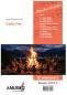 Preview: Celtic Fire, Hans-Günther Kölz, Akkordeon-Orchester, Irish Folk, mittelschwer-schwer, Originalkomposition, Originalmusik, Irland, Akkordeon Noten, Stimmensatzdeckblatt