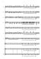 Preview: Furioso-Polka (Quasi Galopp), Johann Strauss, Tanja Geschwind, Akkordeon-Orchester, mittelschwer-schwer, Akkordeon Noten, Beispielseite