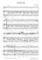 Preview: Gustostückerl, Andreas Nebl, Originalkompositionen. Melodieinstrument in C oder Bb und Akkordeon, Standardbass MII, Melodiebass MIII, mittelschwer-schwer, Nebl & Nebl, Akkordeon Plus, Kammermusik, Duo, Duett, Akkordeon Noten