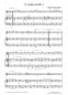 Preview: Divertimento 2, Wolfgang Amadeus Mozart, Andreas Nebl, Suite in 5 Sätzen Melodieinstrument in C oder Bb und Akkordeon Melodiebass MIII, mittelschwer, Wertungsstück, Wettbewerb, Wettbewerbsliteratur Nebl & Nebl, Akkordeon Plus, Kammermusik, Akkordeon Noten