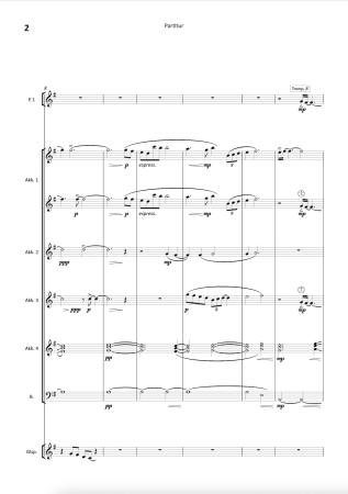 Preview: A Swift's Return, Ian Watson, Akkordeon-Orchester, Originalkomposition, Wertungsstück, Wettbewerbsliteratur, 18. Eidgenössische Akkordeon Musikfest, Mittelstufe, mittelschwer, Originalmusik, Akkordeon Noten, Blick in die Noten