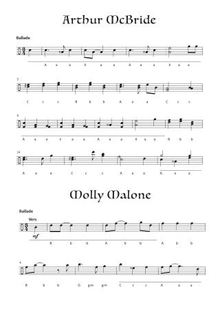 Preview: Irish Folksongs für Steirische Harmonika, Martina Kluge, Steirische Harmonika, Griffschrift, Spielheft, Soloband, mittelschwer, Traditionals, Reels, Jigs, Hornpipe, Polka, irische Folklore, Volksmusik, grüne Insel, Noten für Steirische Harmonika