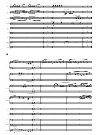 Preview: Circus Maximus, Stephan Hodel, Akkordeon-Orchester, Auftragskomposition, World Music Festival Innsbruck, WMF, Höchststufe, sehr schwer, Wertungsstück, Wettbewerbsliteratur, Orchesternoten, Musiknoten, Originalkomposition, Originalmusik, Akkordeon Noten, P
