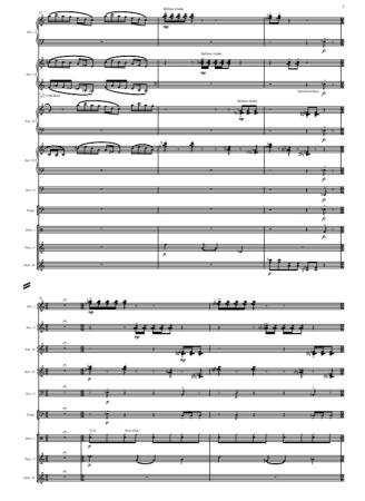 Preview: Circus Maximus, Stephan Hodel, Akkordeon-Orchester, Auftragskomposition, World Music Festival Innsbruck, WMF, Höchststufe, sehr schwer, Wertungsstück, Wettbewerbsliteratur, Orchesternoten, Musiknoten, Originalkomposition, Originalmusik, Akkordeon Noten, B