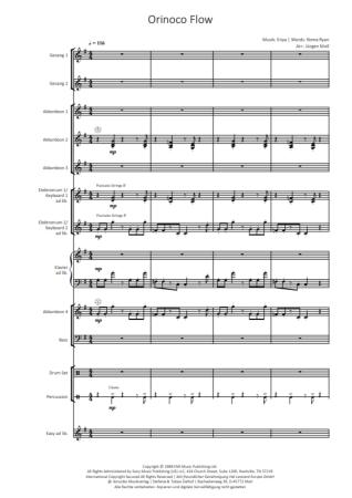 Preview: Orinoco Flow, Enya, Roma Ryan, Jürgen Moll, Akkordeon-Orchester, mittelschwer, mit Easy-Stimme, Unterhaltungskonzert, Megahit, Akkordeon Noten, Beispielseite