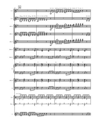 Orinoco Flow, Enya, Roma Ryan, Jürgen Moll, Akkordeon-Orchester, mittelschwer, mit Easy-Stimme, Unterhaltungskonzert, Megahit, Akkordeon Noten, Notenbeispiel