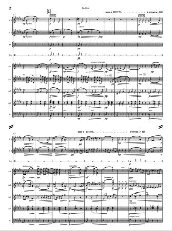 Preview: Eine Ballett-Suite in D-Dur, op. 130 - Satz 5: Valse d'amour, Max Reger, Stefan Hippe, Akkordeon-Orchester, Suite, Walzer, (mittelschwer-) schwer, Akkordeon Noten, Notenbeispiel
