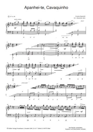 Preview: Apanhei-te, Cavaquinho, Ernesto Nazareth, Alexander Jekic, Akkordeon-Solo, Standardbass MII, Einzelausgabe, Konzert, Wettbewerb, Unterricht, virtuos, mittelschwer-schwer, Akkordeon Noten, Beispielseite