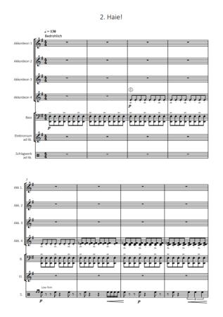 Preview: Ozeanmusik, Kai Armbruster, Akkordeon-Orchester, Akkordeon-Ensemble, Suite in 5 Sätzen, auch für kleine Besetzung, leicht, Originalkomposition, Originalmusik, Akkordeon Noten, Blick in die Noten