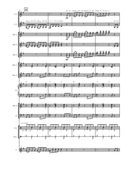 Orinoco Flow, Enya, Roma Ryan, Jürgen Moll, Akkordeon-Orchester, mittelschwer, mit Easy-Stimme, Unterhaltungskonzert, Megahit, Akkordeon Noten, Notenbeispiel