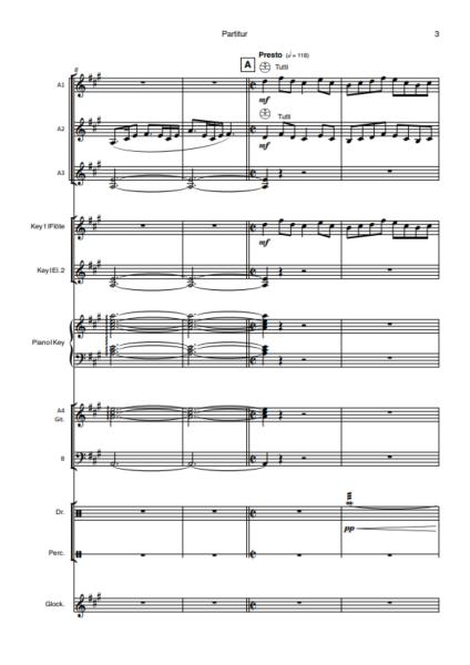 Celtic Fire, Hans-Günther Kölz, Akkordeon-Orchester, Irish Folk, mittelschwer-schwer, Originalkomposition, Originalmusik, Irland, Akkordeon Noten, Beispielseite
